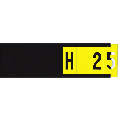 H25